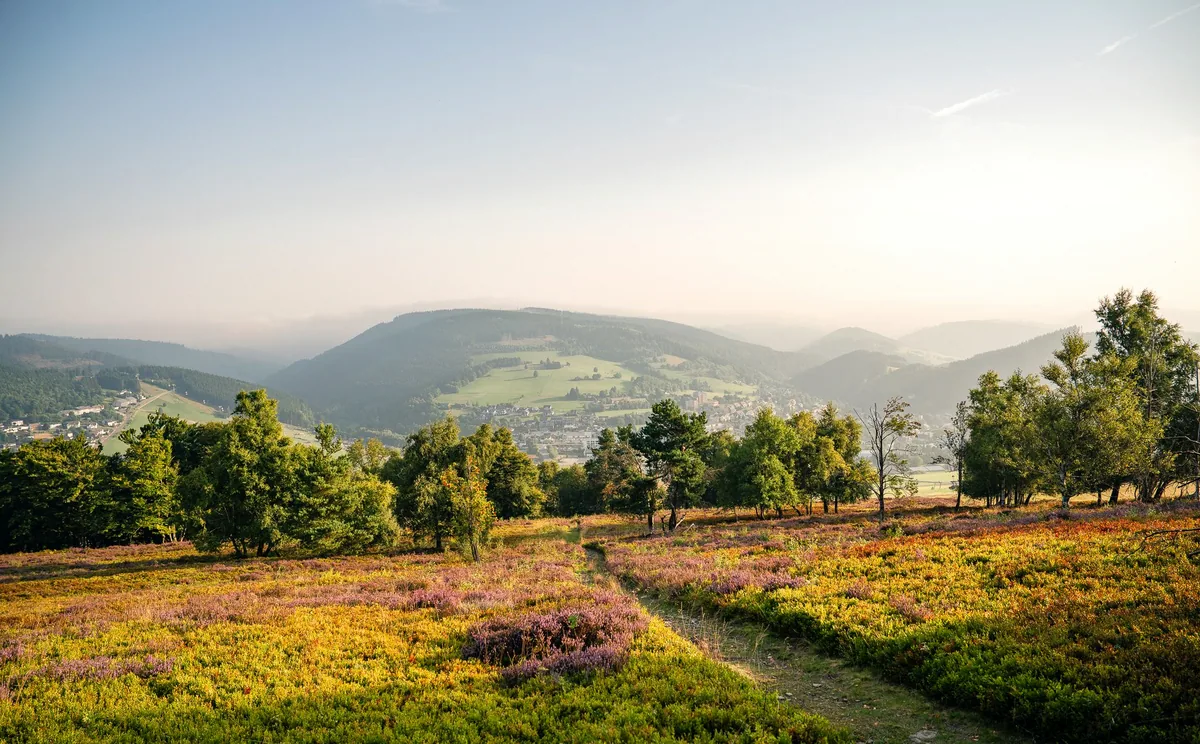 Willingen im Sommer, Ort zwischen bewaldeten Bergen