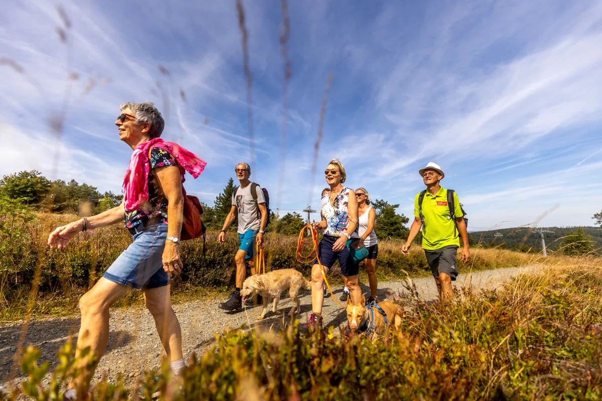 Wanderweg über die Höhen bei Willingen