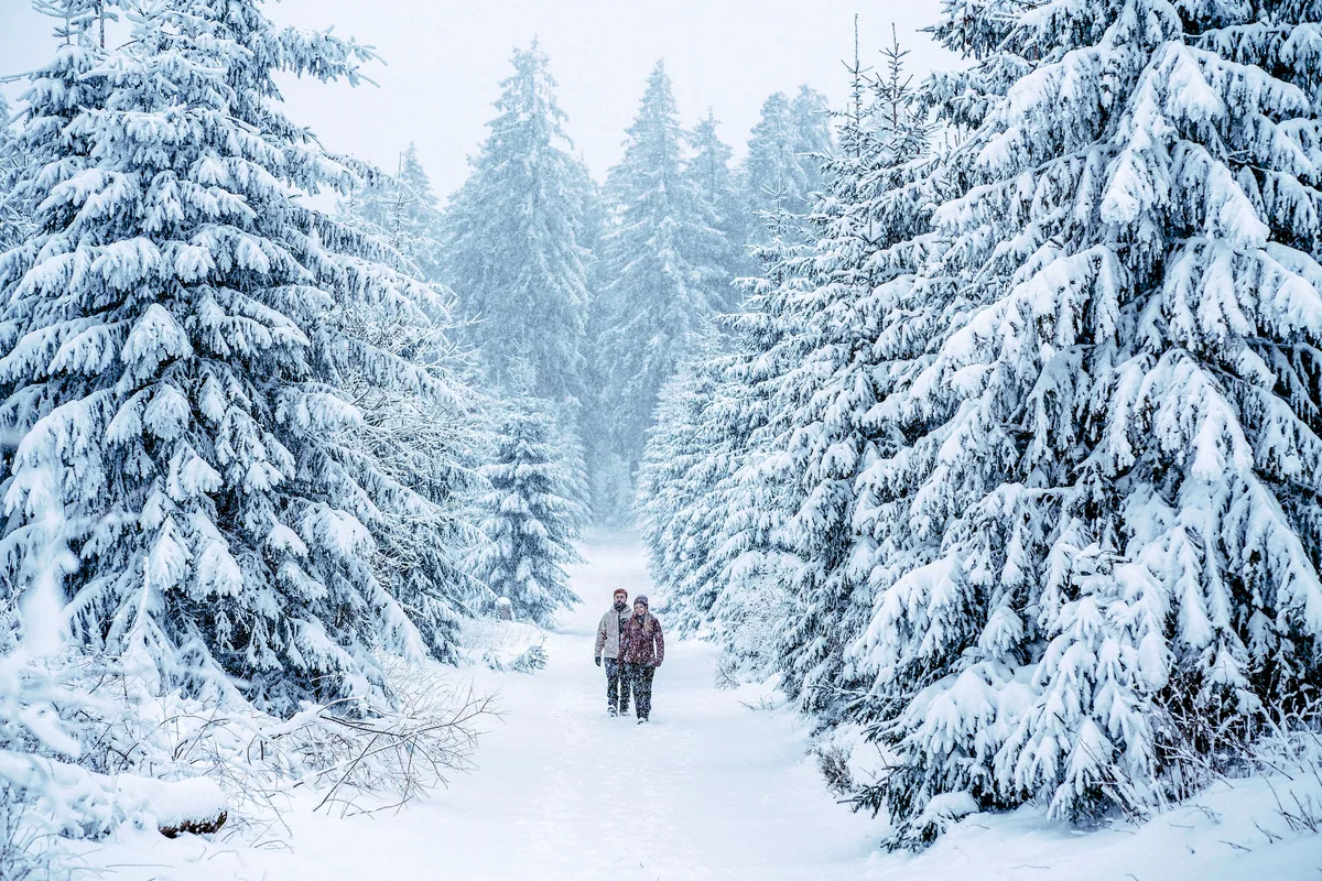 Winterwanderung bei Willingen